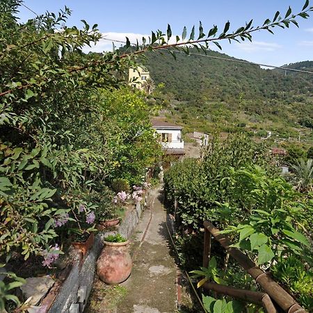Villa Lardarina Corniglia Ngoại thất bức ảnh
