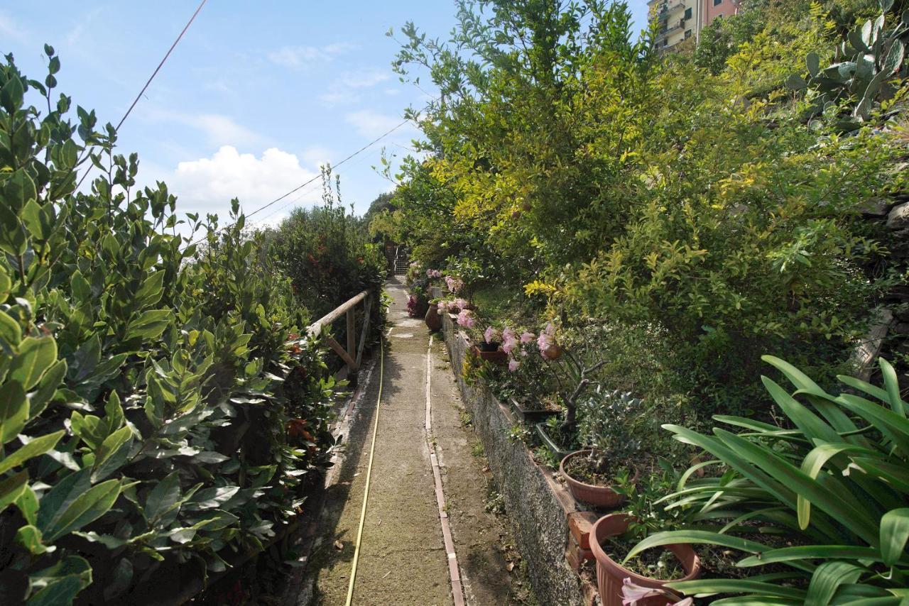 Villa Lardarina Corniglia Ngoại thất bức ảnh