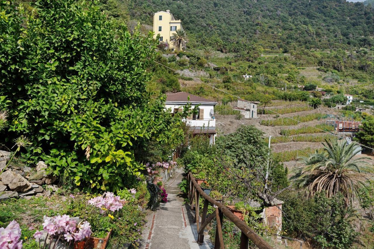 Villa Lardarina Corniglia Ngoại thất bức ảnh