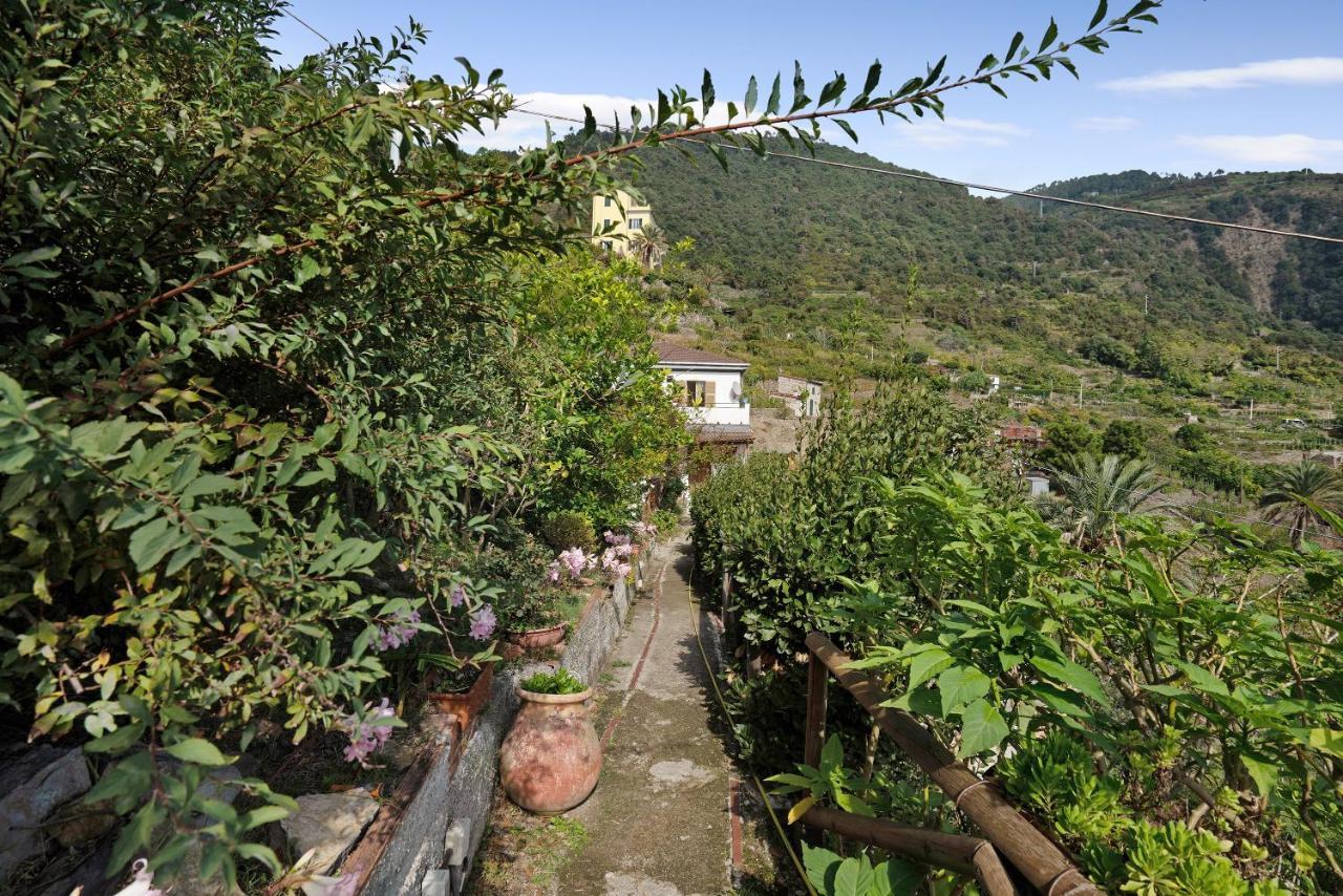 Villa Lardarina Corniglia Ngoại thất bức ảnh